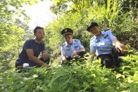 优化营商环境 助力地方产业