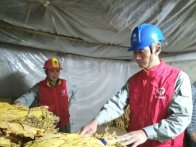 县供电公司：贴心服务保障烤烟用电无忧