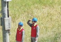 农田好“丰”景 电力助金秋