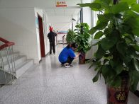 县人才服务中心开展“迎国庆”节前卫生大扫除活动