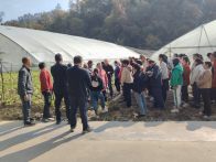 技术培训送上门 拓宽群众致富路