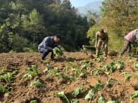 “三分四访五包”工作法解决退役军人“急难愁盼”