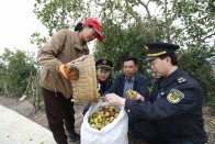 精准服务送上门   油茶产业促振兴