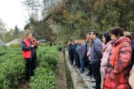 县农业农村局“以训促管”助力秋冬茶园管护