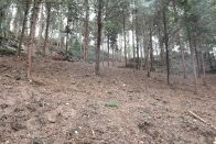 县林业局：项目“观摩”促生态发展提速