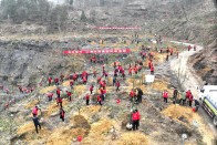 我县“三绿”并举推进国土绿化提质增效