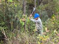 通道治理 打好迎峰度冬“前哨战”