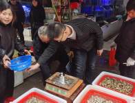 县公检中心：开展年底冲关 优化营商环境