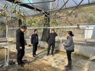 县农业农村局开展2024年度特聘农技员考核评定工作