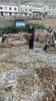 县生态环境局：农村污水第三方运维见实效