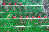 我县3490名护林员全力守护458.96万亩森林安全