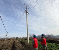 县供电公司：节后巡线忙 保供不停歇