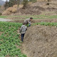 抓好病虫害防治　助力增产增收