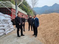 双台乡：聚焦产业一线  共促食用菌发展