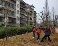 县机关事务服务中心：开展义务植树  共筑绿色家园