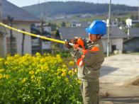县供电公司：防治并举 消除鸟害隐患