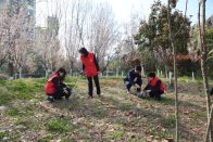 县税务局：学习雷锋践初心  节水护水齐同行