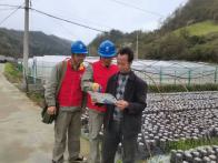 县供电公司助力菇农增收致富