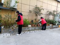 县人才服务中心： 整治白色垃圾　共享绿色家园