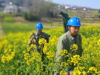 县供电公司“满格电”护航春耕