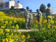 电力保春耕 监督“不打烊”