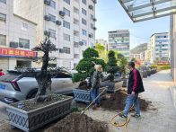 县体育中心：携手护绿共建美好家园