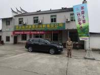 上庸镇：基干民兵护航茶旅产业