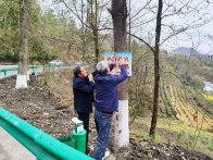 县委编办扎实开展森林防火工作