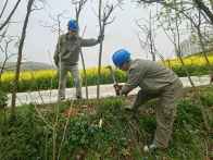 县供电公司开展通道治理 筑牢电网安全防线