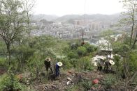 竹山：万株新苗植沃土 绘就生态新画卷