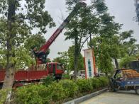 我县全面开展县域普通国省道养护提质专项行动