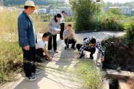 县农业农村局：青年干部田间忙　油菜考种学本领