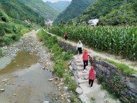 楼台乡：干群同心筑防线 联防联控守平安