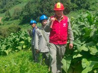 县供电公司护航烟叶烘烤用电无忧