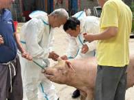 双台乡：开展春防检测 为健康保驾护航