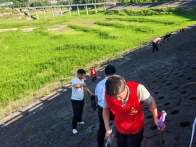 深河乡：长效整治环境卫生 共建宜居美丽乡村