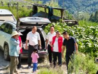 官渡镇：夏日炎炎送清凉