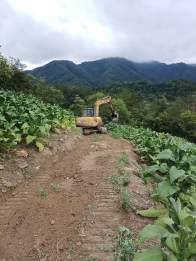 大庙乡：扩宽烟田致富道 助力烟叶攀新高 