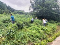 上庸镇：精耕茶园地 厚植茶业力