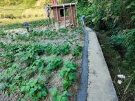 麻家渡镇：新水井建设施工正酣  保障村民用水无忧