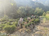 宝丰镇：干群合力战旱情 周家湾引水工程显担当