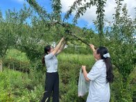县公共检验检测中心：抽样检测进田间  守护百姓“菜篮子”安全