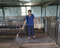 深河乡：夏季防疫不松懈 消毒筑牢“安全网”