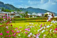 擂鼓镇：三大平台激活基层治理新动能