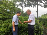 竹坪乡：专家一线传经授道 助力企业提质增效