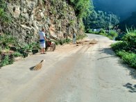 楼台乡：道路养护忙  乡村焕新颜