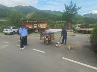 官渡镇：清理流浪狗  筑牢民生安全屏障