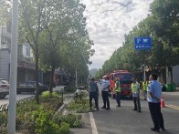 麻家渡镇：剪枝护路 点亮出行“安全灯”