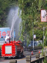 柳林乡：主动排查除蜂患 消防驰援护民安