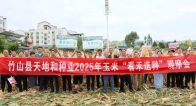竹山县“看禾选种”助推玉米单产稳步提升